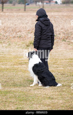 ALBAIRATE (MI), Italia - 23 febbraio 2019: un conduttore del cane e il suo Border Collie attendere per iniziare a loro volta durante una prova di obbedienza a Albairate (vicino a M Foto Stock