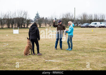 ALBAIRATE (MI), Italia - 23 febbraio 2019: un giudice qualificata mostra il punteggio ottenuto da una coppia formata da l'istruttore e il suo cane durante un obedienc Foto Stock