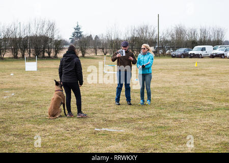 ALBAIRATE (MI), Italia - 23 febbraio 2019: un giudice qualificata mostra il punteggio ottenuto da una coppia formata da l'istruttore e il suo cane durante un obedienc Foto Stock