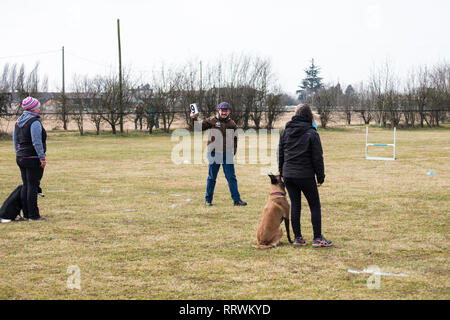 ALBAIRATE (MI), Italia - 23 febbraio 2019: un giudice qualificata mostra il punteggio ottenuto da una coppia formata da l'istruttore e il suo cane durante un obedienc Foto Stock