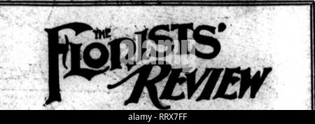 . Fioristi' review [microformati]. Floricoltura. Abbingdon Flo. Co.6;22 Abbott. Giovanni •••••••^2^ anticipo Co.. • • • • • • • • WW^ Albert &AMP; Davidson. 89 Allen, J. K.... ^5 alfa Ck floreali)... • 40 American Blovvrer... 86 American Spawn Co. 48 Finestra americana Glass Co. ... • "** In legno americana- ware "" Amllng Co. ?•••?•• ^^ Andersen Specialty ^^ Co. ••""*'* 4!ho Anderson, "•?*•.••• "ft Andorra vivai.. 60 Angermue41er, (r. H. ^ Aphlne Mfg. Co.... "4 Archlas Floral Co.. 40 Armacost, W 5" Arnold, A. A. Un^ Aschmann, O.. "^ Aschmann bros. • • 6" Auburndale GoldBBh 34 Augspurger &AMP; s Foto Stock