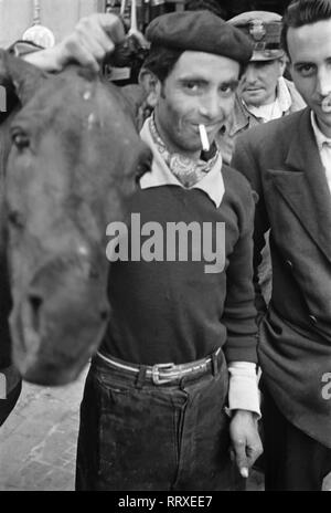 Viaggiare a Napoli - Italia negli anni cinquanta - mercato di cavalli a Napoli. Auf dem Pferdemarkt in Neapel, Italien. Foto Erich Andres Foto Stock