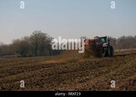 Muck spandimento su una fattoria con un trattore Foto Stock