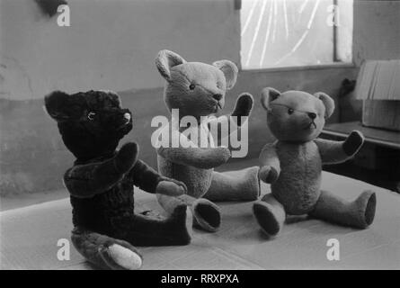 Germania - Deutschland ca. 1950, Thüringen, Teddys der Spielzeugfabrik in Sonneberg Foto Stock