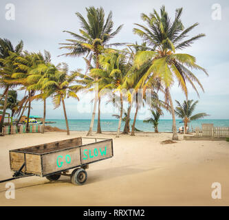 Carrello di legno con Go Slow messaggio in una spiaggia tropicale con palme - Caye Caulker, Belize Foto Stock