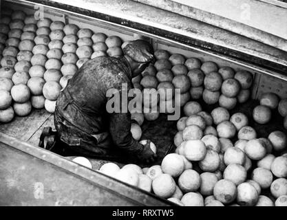 Paesi Bassi - Käsemarkt di Alkmaar, Niederlande, Käseträger bei der Arbeit. Mercato del formaggio di Alkmaar. Um Aufnahme 1954 Foto Stock