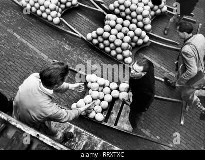 Paesi Bassi - Käsemarkt di Alkmaar, Niederlande, Aufnahme um 1954 Foto Stock