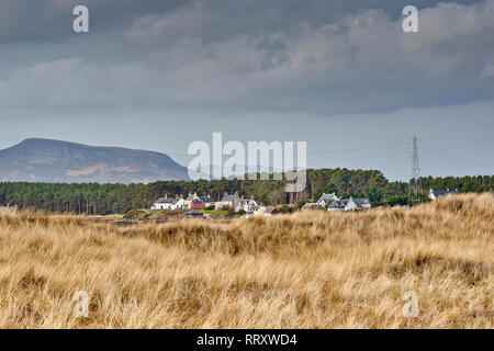 COUL LINKS EMBO SUTHERLAND Scozia le erbe spontanee dei collegamenti e delle case di piccolo traghetto Foto Stock