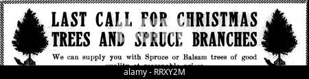 . Fioristi' review [microformati]. Floricoltura. 88 i fioristi^ Revisione novembre 21, 1912. Si prega di notare che queste immagini vengono estratte dalla pagina sottoposta a scansione di immagini che possono essere state migliorate digitalmente per la leggibilità - Colorazione e aspetto di queste illustrazioni potrebbero non perfettamente assomigliano al lavoro originale. Chicago : fioristi' Pub. Co Foto Stock