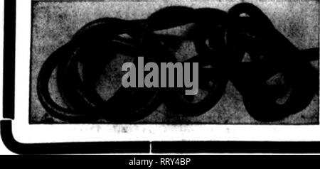 . Fioristi' review [microformati]. Floricoltura. Appendere Basicets avete bisogno di questi ora. Il nostro bas- kets sono realizzati con la massima cura possibile- la vostra scelta di zincato o rame al medesimo prezzo. A. 6. 8. 10. 12. 14. 16. 18. 21. 24. Fancy Top Per doz. ....ULIO .... 1.60 .... 2,00 .... 2.50 .... 3.00 .... 3.50 .... 4.60 .... 5.50 .... 8.00 Parte superiore piana a. 6. 8. 10. 12. 14. 16. 18. 21. 24. Per doz. ..$0.85 .. 1.20 .. 1,65 .. 2.00 .. 2.50 .. 3.00 .. 4.00 .. 5.00 .. 7.60 REVERO il miglior produttore del tubo flessibile di prezzi, 17c per piede. In 500-piede lotti, 16c per piede, tagliare qualsiasi lunghezza ed accoppiati. Sconti cassa wi Foto Stock