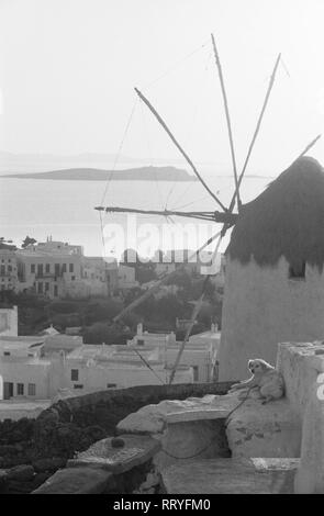 Griechenland, Grecia - Ein Hund liegt vor der malerischen Kulisse einer Windmühle und eines kleinen Küstenstädtchens, Griechenland 1950er. Un cane disteso di fronte a un mulino a vento e un villaggio in background, Grecia, 1950s. Foto Stock