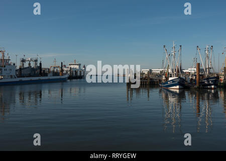 Pescherecci nel porto. Norddeich. Frisia orientale. Bassa Sassonia. Germania. Foto Stock