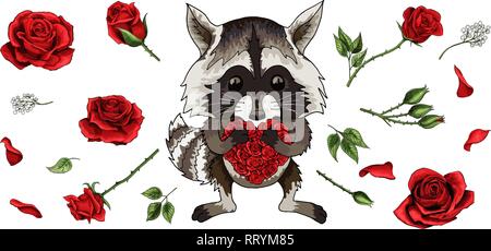 Procione animale incantevole personaggio dei fumetti con rose rosse set isolato su bianco Illustrazione Vettoriale