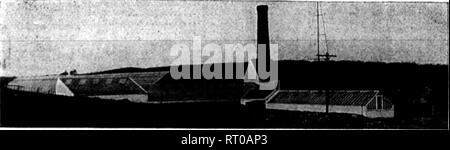 . Fioristi' review [microformati]. Floricoltura. Gamma di Alexander A. Laub, nuovo Amburgo:, N. Y., riscaldato da n. 6 Kroeschell caldaia. Non abbiamo a sono la nostra caldaia come spesso come il nostro fratello fioristi che utilizzano: malces differenti. Il Kroeschell ha sostituito tre ghisa caldaie in sezione e certamente ha dato intero satis- fazione. Bastano poche parole per esprimere la qualità grood delle vostre caldaie e sono come segue: "Di tutti i bracci caldaie di manipolazione e loro pubblicità in modo veritiero, partito acquistando una caldaia avrebbe dovuto ottenere il Kroeschell, come lei sono certamente pubblicità n Foto Stock
