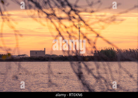 Lo splendido paesaggio di sunrise, uccelli. Bella nuvoloso golden cielo sopra la laguna nel parco naturale di Albufera di Valencia Foto Stock