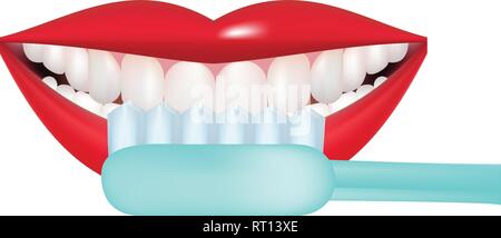 Immagine vettoriale su uno sfondo bianco. Come lavarsi i denti giustamente con uno spazzolino da denti. Sana e denti bianchi. A bocca aperta, spazzolino da denti blu. Illustrazione Vettoriale