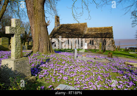 Heysham, Lancashire. 27 feb 2019. Regno Unito: Meteo Crochi in piena fioritura presso la chiesa di San Pietro, Heysham, Lancaster, Lancashire l' ultimo giorno di tempo caldo. Si tratta di una delle più antiche chiese cristiane in Europa occidentale con oltre mille anni di continuo il culto. Credito: John Eveson/Alamy Live News Foto Stock