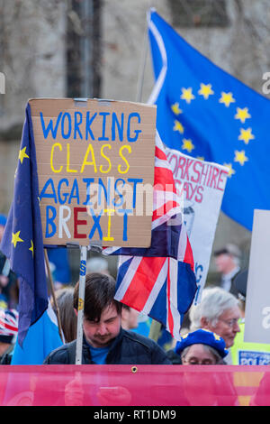 Londra, Regno Unito. Il 27 febbraio, 2019. SODEM, pro UE, i manifestanti continuano a fare il loro punto al di fuori del Parlamento come la prossima votazione su Theresa Maggio il piano è a causa di questa sera. Non ci sono mezzi di lasciare uscire i manifestanti nella loro normale oposing posizioni. Credito: Guy Bell/Alamy Live News Foto Stock