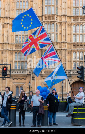 Londra, Regno Unito. Il 27 febbraio, 2019. SODEM, pro UE, i manifestanti continuano a fare il loro punto al di fuori del Parlamento come la prossima votazione su Theresa Maggio il piano è a causa di questa sera. Non ci sono mezzi di lasciare uscire i manifestanti nella loro normale oposing posizioni. Credito: Guy Bell/Alamy Live News Foto Stock