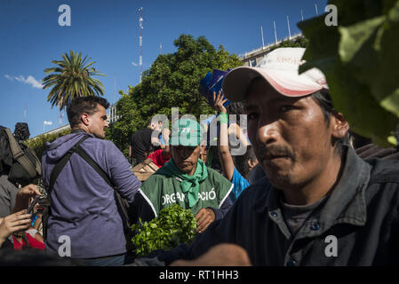 La città di Buenos Aires, la città di Buenos Aires, Argentina. Il 27 febbraio, 2019. INT. 2019, 27 febbraio. La città di Buenos Aires, Argentina.- i piccoli produttori dare via su 2019 Febbraio 27, 20 migliaia di chili di verdure, chiamato Verdurazo, in Plaza de Mayo, città di Buenos Aires, rivendicando per miglioramenti per i piccoli agricoltori e contro la fame. L'ultimo 15 febbraio erano represse quando hanno cercato di vendere le verdure in una zona accessibile e giusto prezzo nel quartiere ConstituciÃ³n, nella città di Buenos Aires. Credito: Julieta Ferrario/ZUMA filo/Alamy Live News Foto Stock