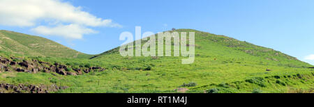 Splendido panorama verde in Israele il Golan. Foto Stock