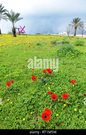 Inizio della primavera fiorisce in alture del Golan in Israele Foto Stock