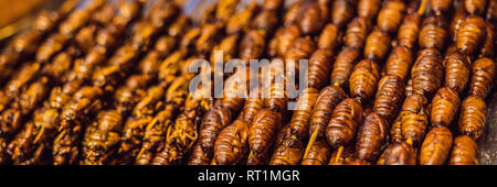 Grill e fritto silkworm pupe su stick da Wangfujing street a Pechino, Cina banner, formato lungo Foto Stock