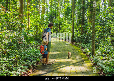 Papà e figlio viaggiatori alla scoperta della foresta Ubud nella foresta delle scimmie, Bali Indonesia. Viaggiare con bambini di concetto Foto Stock
