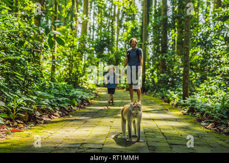 Papà e figlio viaggiatori alla scoperta della foresta Ubud nella foresta delle scimmie, Bali Indonesia. Viaggiare con bambini di concetto Foto Stock