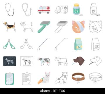 Ambulanza,animale,l'arte,bendaggio,spazzola,catturare,scheda,care,cartoon,contorno,cat,claw,clinica,clippers,collare,raccolta,mucca,design,medico,dog,elizabethan,attrezzature,pellicce,toelettatura,testa,la salute,ospedale,icona,immagine,isolato,gamba,logo,medicina,chiodo,cappio,PET,servizi,impostare,malati,segno,uno stetoscopio,il simbolo,termometro,trattamento,vettore,vet,veterinario veterinario,,web,x-ray vettori vettore , Illustrazione Vettoriale