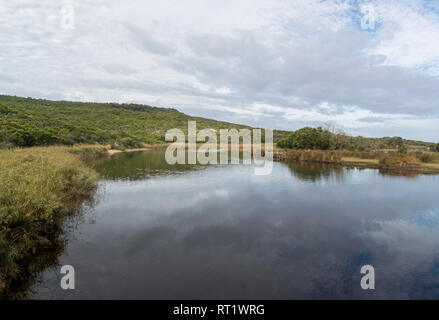 Aire fiume in Cape Otway National Park, Victoria, Australia Foto Stock