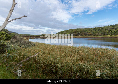 Aire fiume in Cape Otway National Park, Victoria, Australia Foto Stock