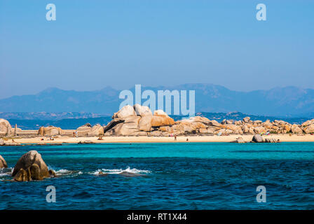 Iles Lavezzi, Bonifacio Corse du Sud Francia 2A Foto Stock