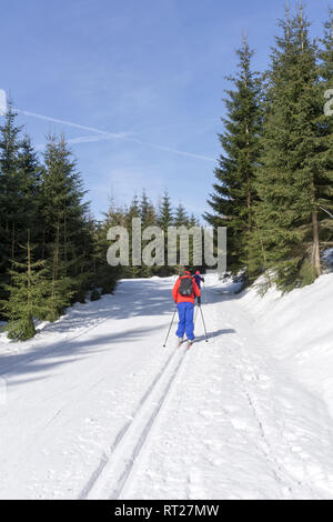 Due fondisti viene eseguito su piste pista di sci nella soleggiata giornata invernale. In inverno il paesaggio di montagna: Jakuszyce, Jizera Mountains, Polonia. Foto Stock