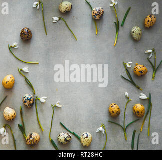 Sfondo di pasqua con uova di quaglia e snowdrop fiori. Molla dello sfondo. Overhead flatlay Pasqua Foto Stock