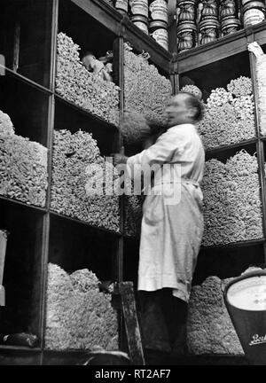 Erich Andres Italien - Erich Andres - Italia, Italia, Napoli, Napoli, Pasta, spaghetti, tagliatelle, Shop, negozio, storia, storici degli anni cinquanta Italien - Neapel. Ein Spaghetti-Laden, die Regale gefüllt mit spaghetti. Foto Stock