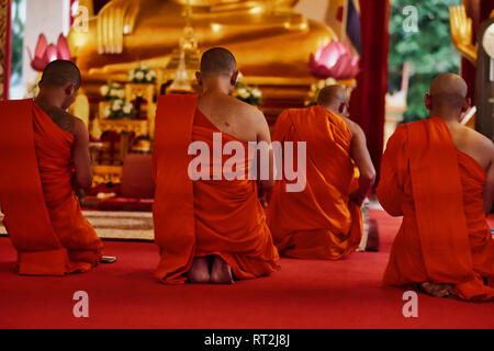 I monaci assemblato per la sera la mediazione e la preghiera davanti ad una statua del Buddha al Wat Mongkon Nimit, Phuket Town, Phuket, Tailandia Foto Stock