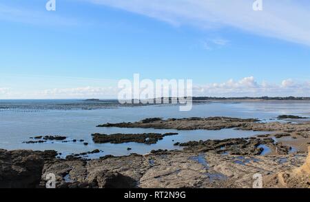 Vista della costa Penestin nella penna, Briere parco naturale regionale - Loire Atlantique, regione Pays de la Loire, Francia Foto Stock