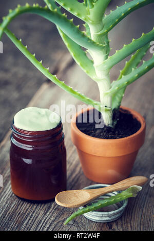 Aloe pianta in vaso, bottiglia di organic aloe vera crema o unguento sul tavolo di legno. In stile retrò. Foto Stock