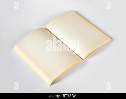 Aprire il vecchio libro bianco mockup, isolato su grigio. Vista superiore Foto Stock