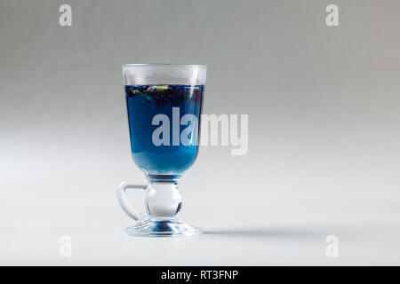 Blu Anchan tè in un vetro irlandese. Tazza di Butterfly pea tè, fiori di pisello, pisello blu, per bere sano, detox bere su sfondo grigio Foto Stock