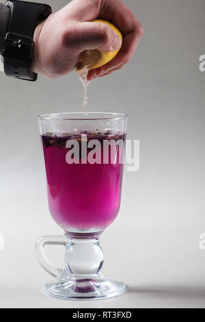 Thai blue butterfly pea tè in un vetro irlandese su sfondo grigio. Mano è la spremitura di fetta di limone. Organico blu, Anchan Clitoria, Butterfly pea bere. Foto Stock