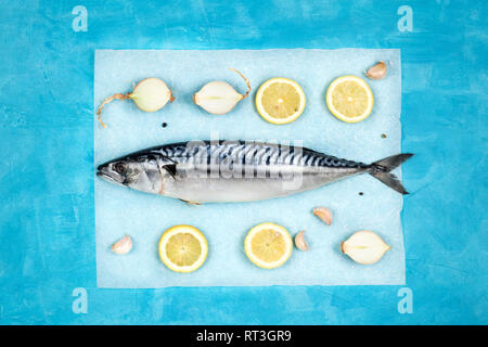 Layout creativo fatto di fresco maсkerel crudo con condimenti su una carta pergamena. Mediterranean Seafood concetto. Orientamento orizzontale. Foto Stock