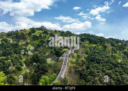 I turisti escursione lungo la Grande Muraglia a Mutianyu come esso aumenta ripidamente su una montagna per la torre di avvistamento in cima. Fitto bosco su entrambi i lati. Foto Stock