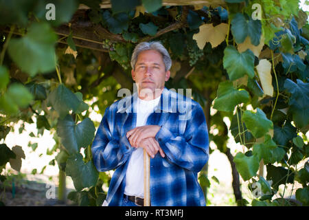 Ritratto di un serio uomo maturo appoggiato su una maniglia mentre in piedi sotto un vitigno. Foto Stock