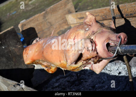 La tostatura tutto il maialino da latte sul rack su un barbecue per esterni Foto Stock