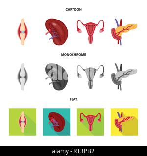 Osso,rene,urinario,pancreas,TENDINE,sistema endocrino,,il legamento,fagioli,Vescica,il diabete,pregiudizio,trapianto,excretory,digestivi muscolo,,pietre,femmina,corpo,di midollo osseo,Schema,,riproduttiva il cancro,congiunto,malattia,ovaia,alimentare cartilagine,,uterino tumore,,biology,scientific,ricerca,laboratorio,anatomia,organo interno,,medical,,umana salute,impostare,vettore,icona,immagine,isolato,raccolta,design,l'elemento,graphic,segno vettori vettore , Illustrazione Vettoriale