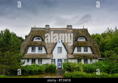 Germania, Zingst, con tetto di paglia house Foto Stock