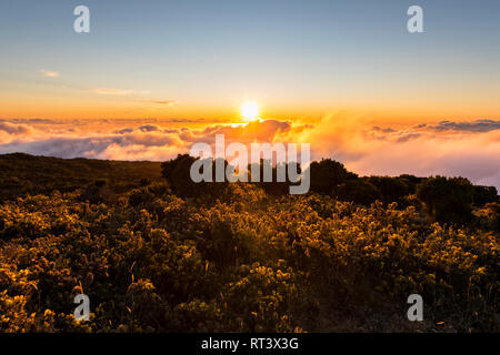 Reunion, Reunion National Park, Maido Viewpoint, vista dal vulcano Maido a mare di nubi e al tramonto Foto Stock