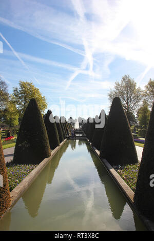 Luminose blu cielo con bianco linee aereo riflessione nel canale di acqua tra alberi conici siepi in tempo primaverile in Keukenhof Flower Garden Foto Stock